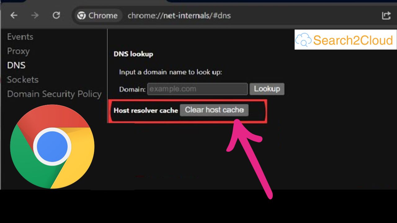 chrome://net-internals
